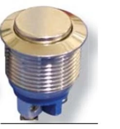 BH19NRSZX 19 MM Anti Vandal Push Button Switch, Momentary, Raised Button, Stainless Finish