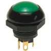 P9-113125 Otto Flush Green Push Button Switch, Momentary, Two Circuit