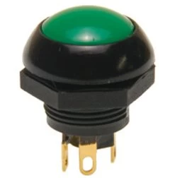 P9-113125 Otto Flush Green Push Button Switch, Momentary, Two Circuit