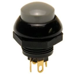 P9-213128 Otto Two Circuit Momentary Push Button With Gray Raised Button